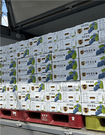 hknkmop6wnsnrnvvafac4vte20260108